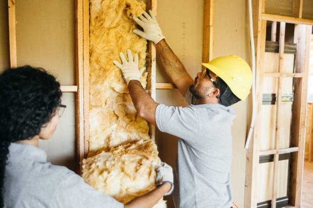 Best Soundproof Insulation Installation  in Fountain Hill, PA